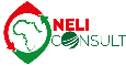 NELICONSULT